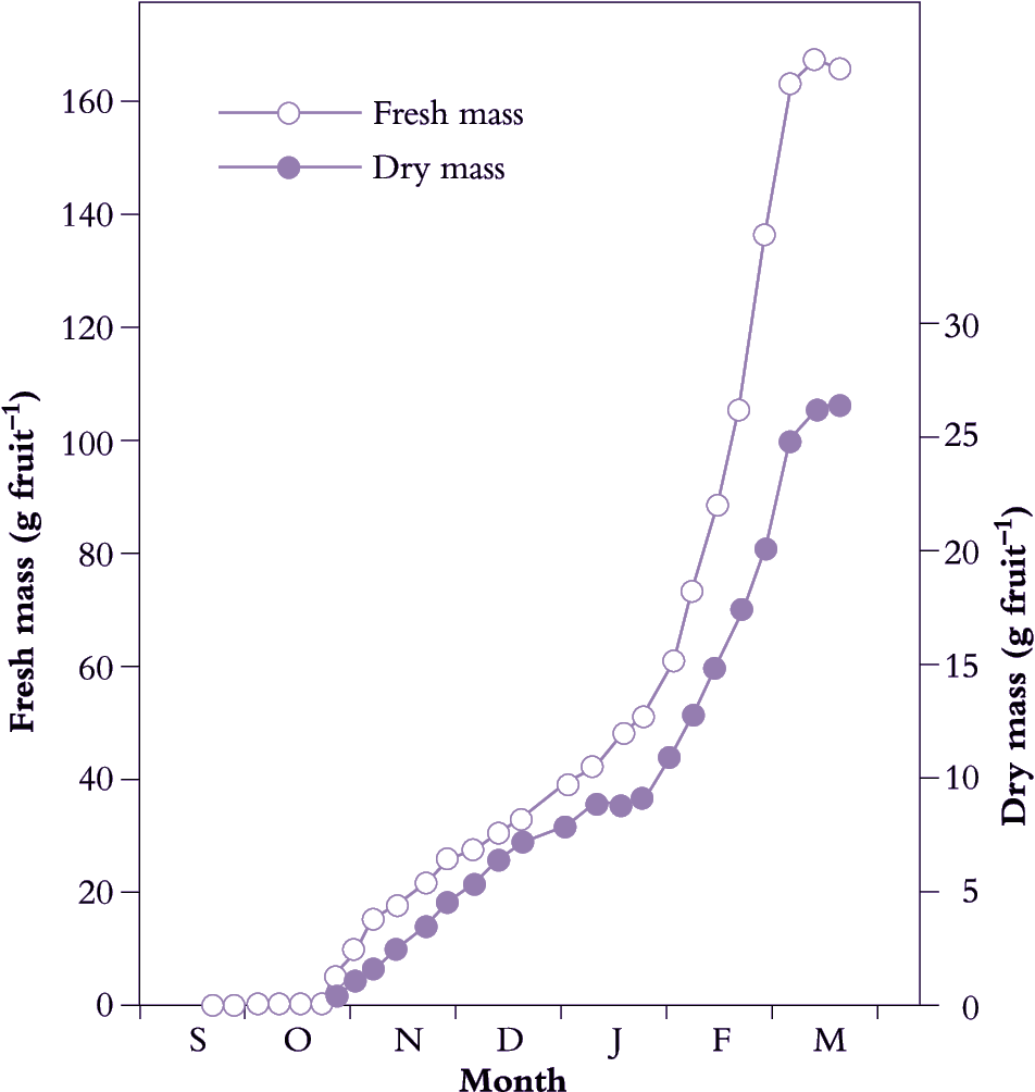 11.2 Dynamics of fruit growth Plants in Action